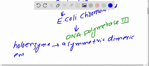 prepare-a-table-that-lists-the-names-and-compares-the-functions-of-the-precursors-enzymes-and-other-