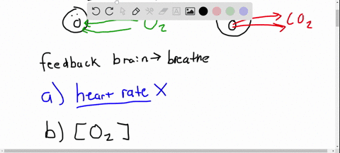what-is-the-primary-feedback-used-by-the-brain-to-control-breathing-a-heart-rate-b-partial-pressure-