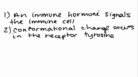 the-mechanism-to-activate-an-immune-cell-to-make-an-antibody-involves-signal-transduction-using-ty-4