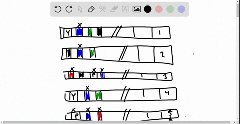 draw-it-the-diagram-below-shows-five-genes-including-their-enhancers-from-the-genome-of-a-certain-sp