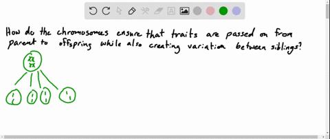 SOLVED:The diagram in question 6 represents just a few of the ...