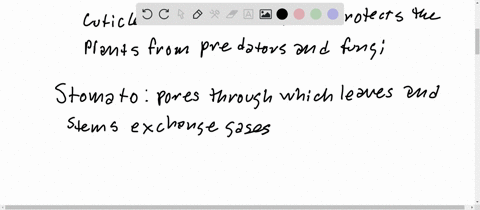 explain-how-conditions-in-the-terrestrial-environment-selected-for-each-of-the-following-adaptatio-2