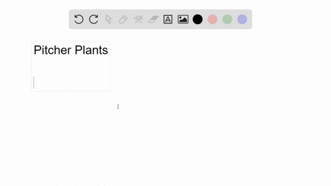 nitrogen-is-a-key-nutrient-often-obtained-by-carnivorous-plants-from-the-insects-they-digest-are-the