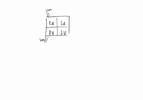 all-of-the-following-are-correct-about-the-normal-direction-of-blood-flow-except-a-vena-cava-rightar