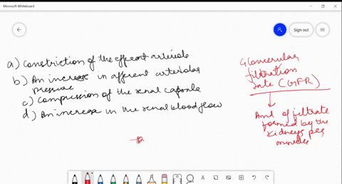 the-glomerular-filtration-rate-would-be-decreased-by-a-constriction-of-the-efferent-arteriole-b-an-i