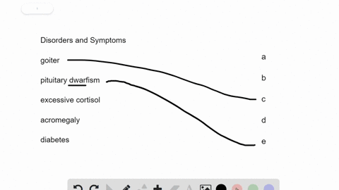 match-each-disorder-with-its-symptoms-text-goiter-quad-quad-text-a-puffy-face-slow-to-heal-text-pitu