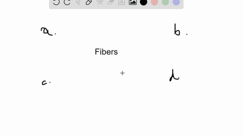 which-type-of-fiber-could-be-considered-the-longest-a-preganglionic-parasympathetic-b-preganglionic-