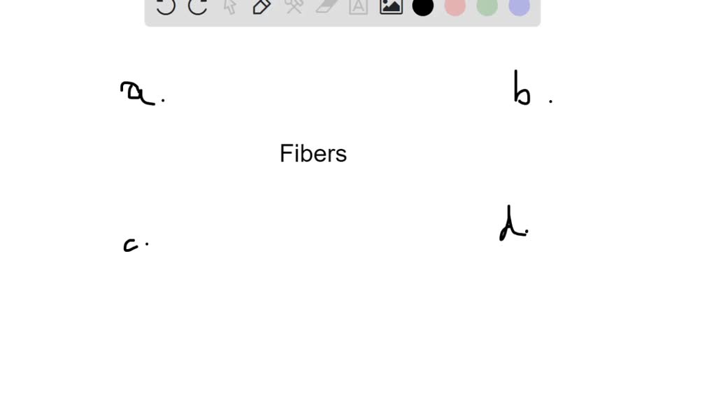 Which Type Of Fiber Could Be Considered The Longest