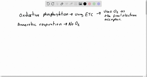 compared-with-oxidative-phosphorylation-in-mitochondria-a-key-difference-of-anaerobic-respiration-in