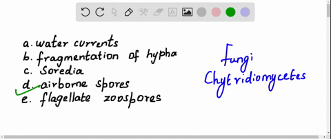 with-the-exception-of-chytridiomycetes-fungi-are-generally-disseminated-by-a-water-currents-b-frag-5
