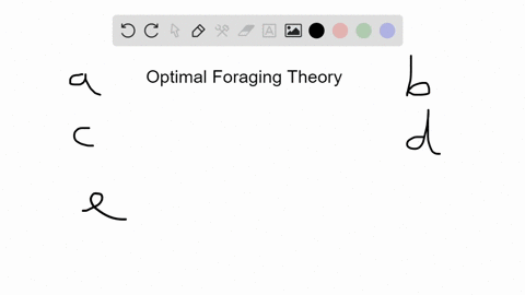 according-to-optimal-foraging-theory-predators-a-always-feed-on-the-largest-prey-possible-b-always-2