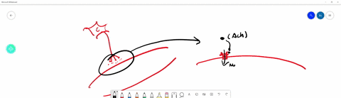 the-role-of-mathrmca2-in-the-control-of-muscle-contraction-is-to-a-cause-depolarization-of-the-t-tub