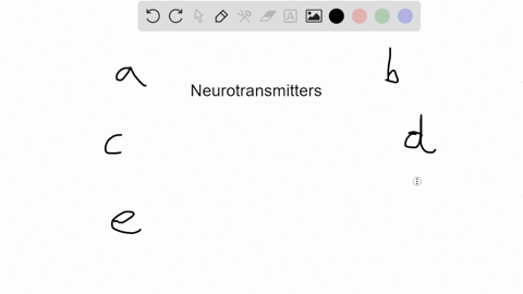 which-of-the-following-matches-between-neurotransmitter-and-sites-of-action-is-correct-a-acetylcho-2