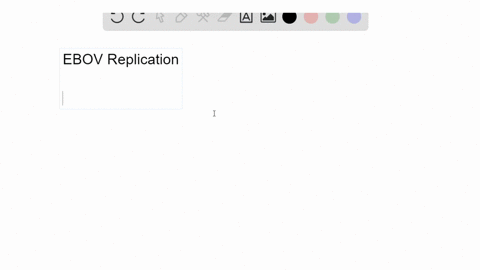 ebov-initiates-its-replicative-cycle-only-if-its-viral-replicase-enters-a-host-cell-along-with-the-v