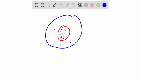 immerse-a-human-red-blood-cell-in-a-hypotonic-solution-and-water-____-a-diffuses-into-the-cell-b-dif