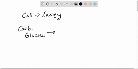 when-cellular-respiration-occurs-what-is-the-primary-molecule-used-to-store-the-energy-that-is-relea