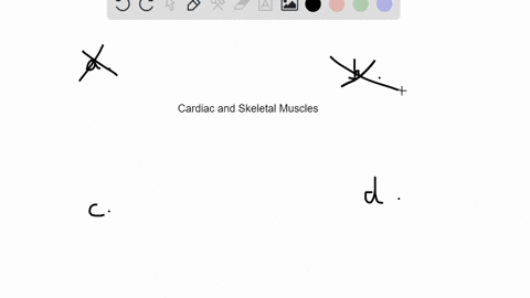 cardiac-muscles-differ-from-skeletal-muscles-in-that-they-______________-a-are-striated-b-utilize-ae
