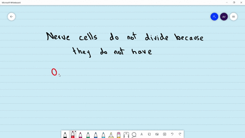 nerve-cells-do-not-divide-because-they-do-not-have-a-nucleus-b-centrosome-c-golgi-body-d-mitochondri