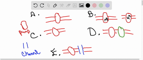 phospholipid-bilayers-form-sealed-spherical-vesicles-in-water-discussed-in-chapter-11-assume-you-h-3