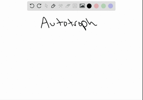 photosynthetic-autotrophs-use-______-from-the-air-as-a-sarbon-spurse-and-______-as-their-energy-sour