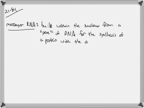 during-protein-synthesis-________-rna-molecules-attach-to-and-transport-specific-amino-acids-to-the-