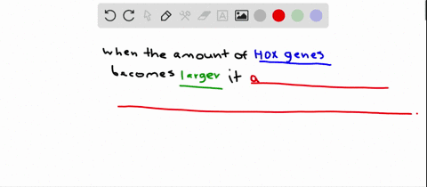 researchers-suggest-that-an-increase-in-the-number-of-hox-genes-a-leads-to-reproductive-isolation-in