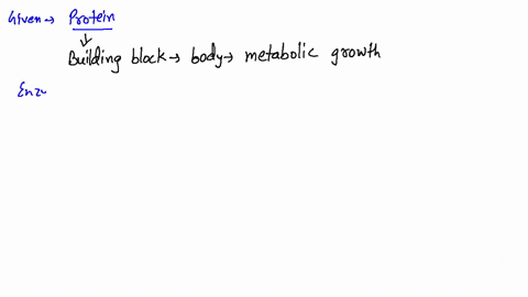 name-four-biological-functions-of-proteins-in-the-human-body-and-give-an-example-of-a-protein-for-ea
