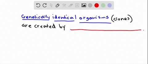 _____-can-be-used-to-produce-genetically-identical-organisms-clones-a-scnt-b-embryo-splitting-c-ther