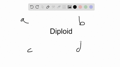 human-body-cells-are-diploid-which-means-_____-a-they-are-complete-b-they-have-autosomes-c-they-have