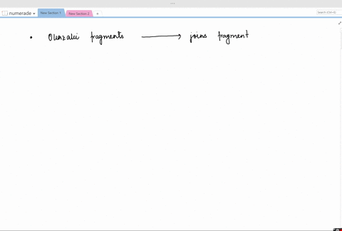 describe-the-role-of-dna-ligase-in-the-replication-process-2