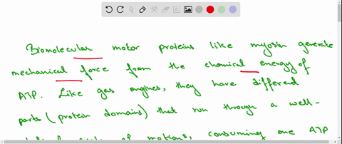 how-does-myosin-convert-the-chemical-energy-released-by-atp-hydrolysis-into-mechanical-work