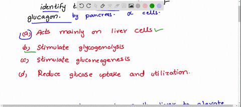 a-acts-mainly-on-liver-cells-b-stimulate-glycogenolysis-c-stimulate-gluconeogenesis-d-reduces-glucos