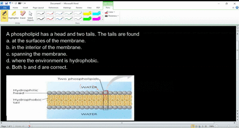complete-the-following-questions-a-phospholipid-has-a-head-and-two-tails-the-tails-are-found-a-at-th