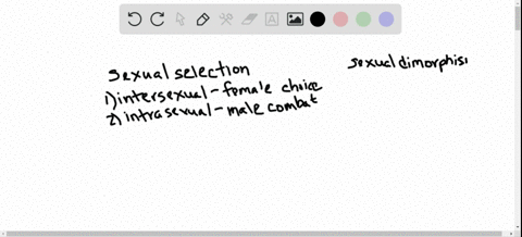 why-does-sexual-selection-often-lead-to-sexual-dimorphism
