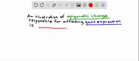which-of-the-following-is-an-example-of-an-epigenetic-change-that-alters-gene-expression-a-chromatin