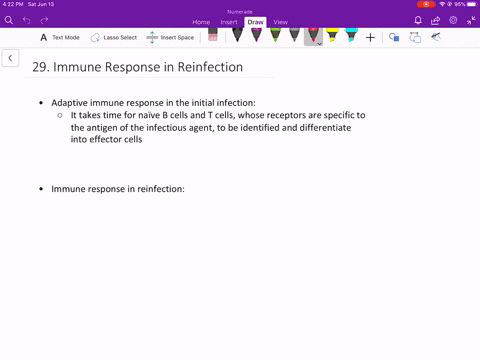 why-is-the-immune-response-after-reinfection-much-faster-than-the-adaptive-immune-response-after-t-2