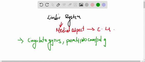 a-where-is-the-limbic-system-located-b-which-structures-make-up-this-system-c-how-is-the-limbic-syst