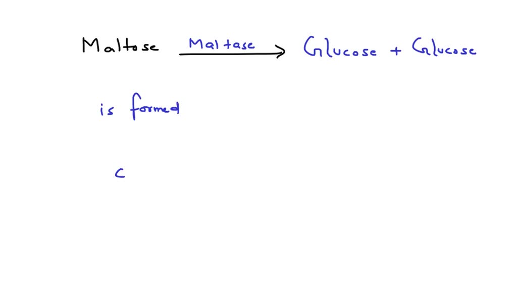 SOLVEDThe conversion of maltose to glucose is possible by the enzyme