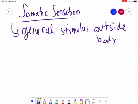 which-is-a-somatic-sensation-a-touch-b-vision-c-smell-d-hearing