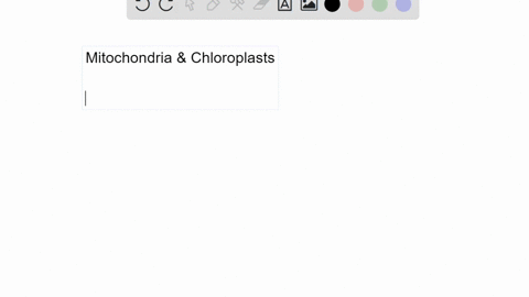 what-evidence-is-there-that-mitochondria-were-incorporated-into-the-ancestral-eukaryotic-cell-before