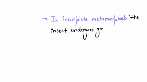 incomplete-metamorphosis-a-is-characterized-by-distinct-larval-and-adult-stages-that-do-not-compete-