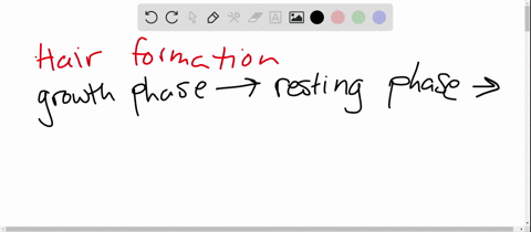 describe-the-process-of-hair-formation-and-list-several-factors-that-may-influence-a-growth-cycles-a