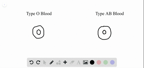 certain-danger-in-a-blood-transfusion-comes-when-the-a-recipient-has-antigens-to-the-donor-blood-b-r