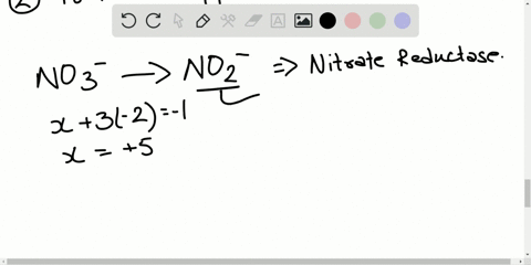 why-might-reductases-also-be-described-as-reducing-agents-2