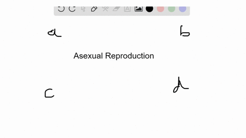 which-of-the-following-is-a-natural-method-of-asexual-reproduction-in-plants-a-meristem-culture-b-pr