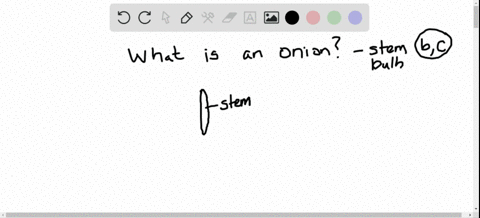 an-onion-is-a-__________-choose-all-that-apply-a-root-b-stem-c-bulb-d-corm