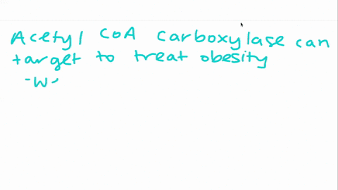 chemical-connections-29-mathrmb-what-enzyme-provides-a-possible-target-for-drugs-to-treat-obesity-2
