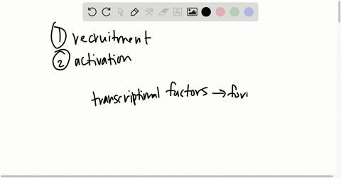 why-is-it-said-that-transcriptional-regulation-in-eukaryotes-is-characterized-by-combinatorial-int-2