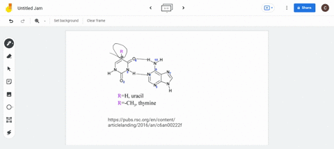 can-a-dna-strand-bind-to-a-complementary-rnastrand-explain-2