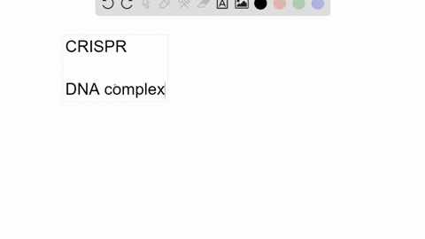 what-is-crispr-and-what-is-its-natural-function-in-a-bacterium